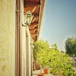 Gelsomino 3*