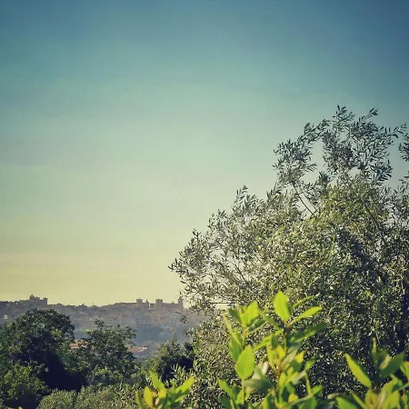 Gelsomino Bed and Breakfast