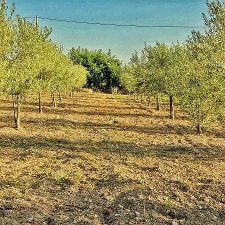 Bed and Breakfast Gelsomino