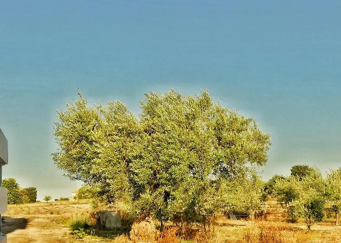 לינה וארוחת בוקר Gelsomino איספיקה